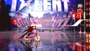 France has got Talent - Mark Steiger's parrot show